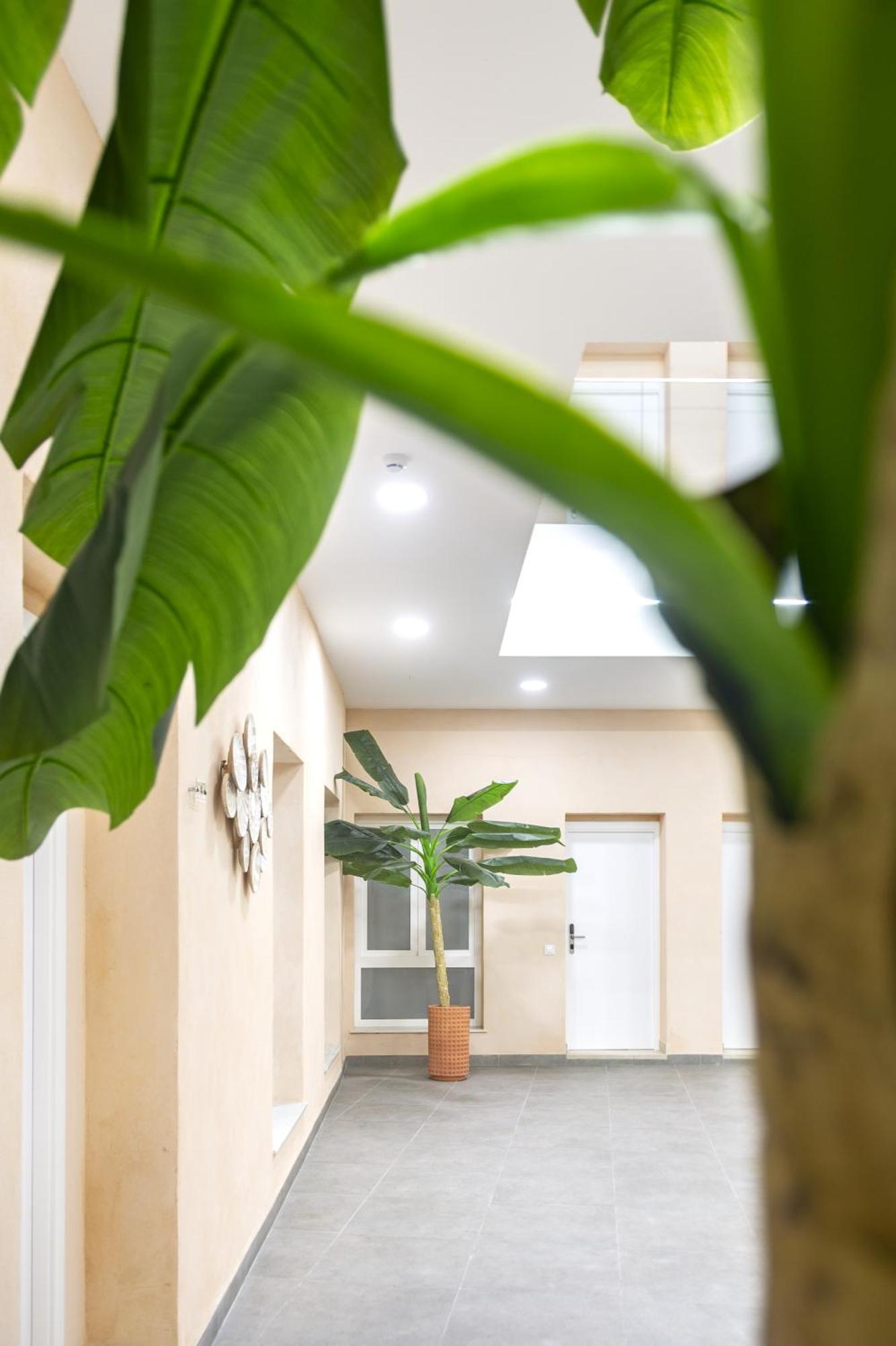 Apartamentos La Tahona กาดิซ ภายนอก รูปภาพ