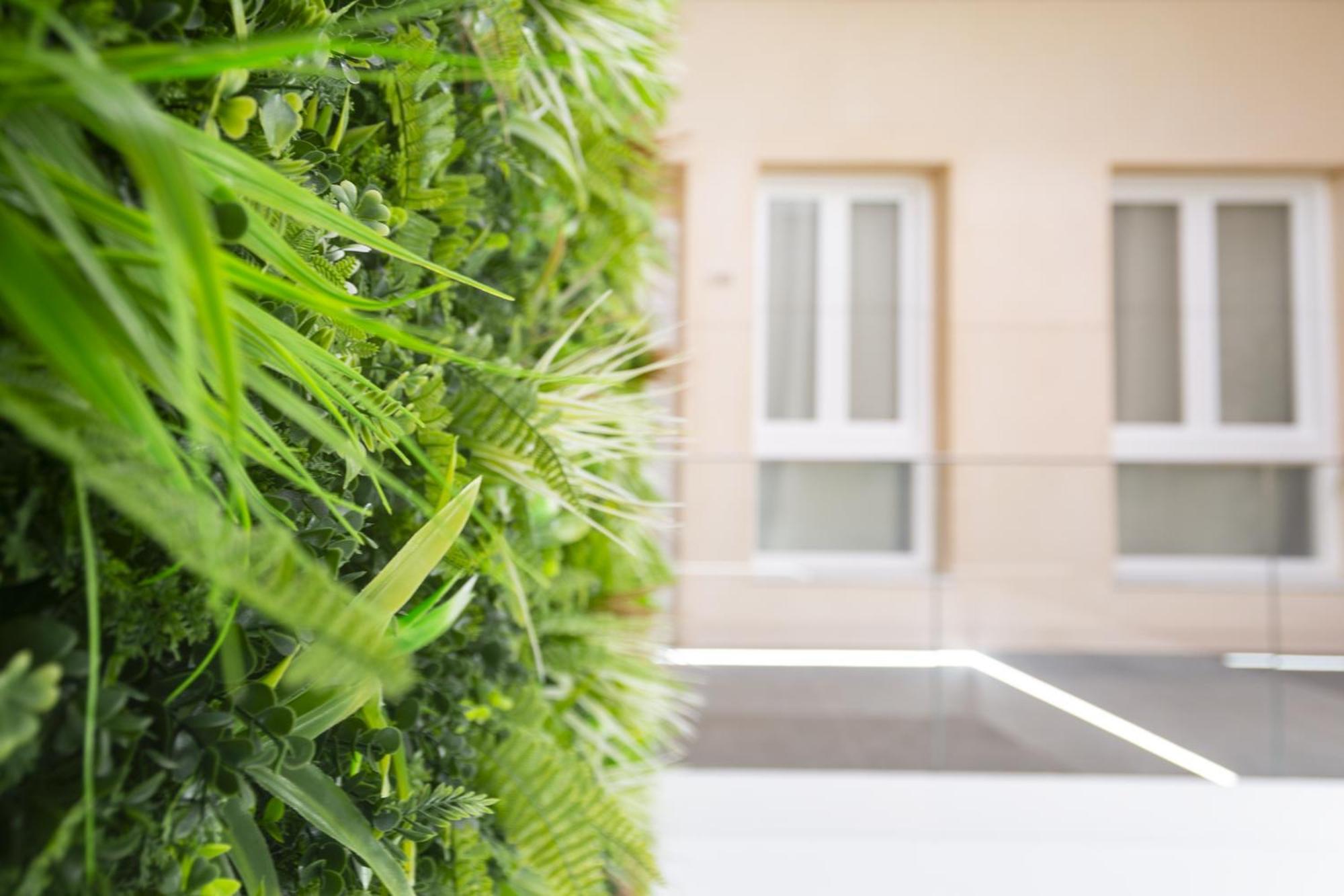 Apartamentos La Tahona กาดิซ ภายนอก รูปภาพ